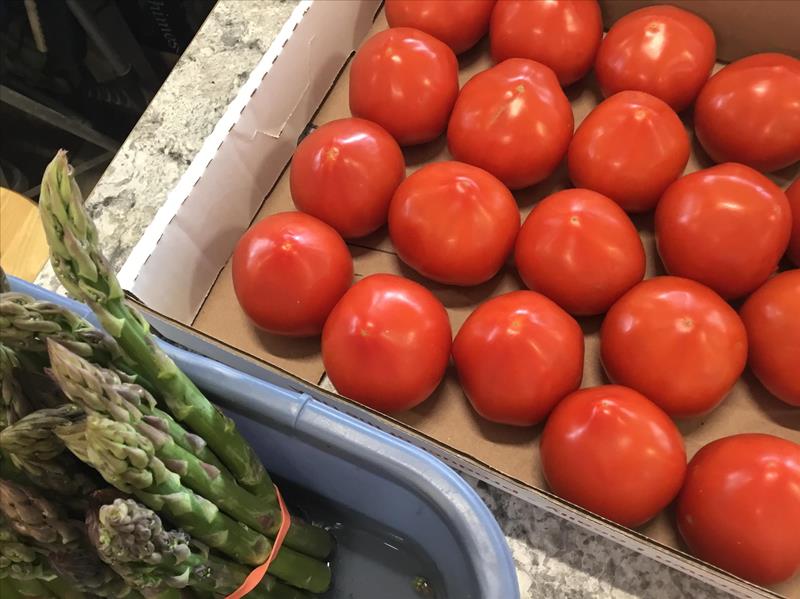 Reiff's Farmstand Greenhouse Floyd, IA