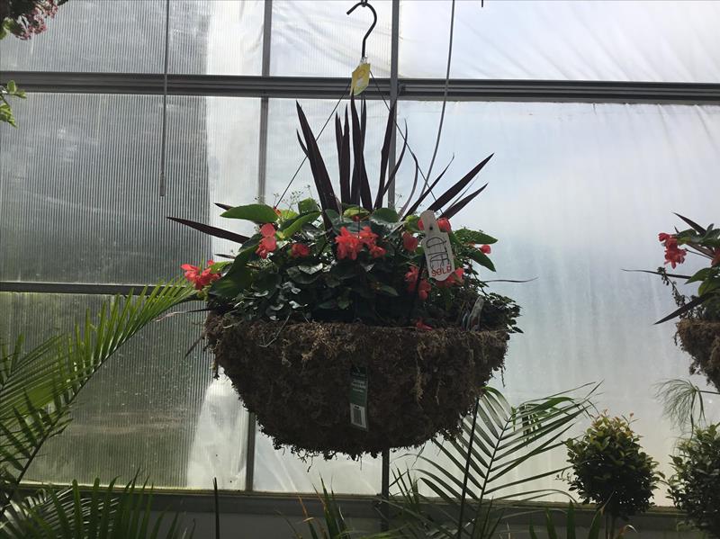 Reiff's Farmstand Greenhouse Floyd, IA